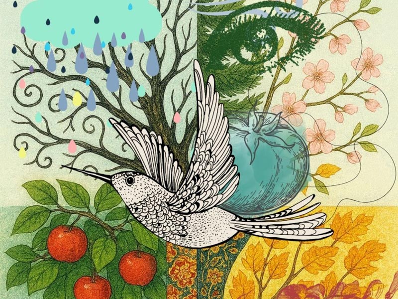 Sandrine Flament illustration arbre