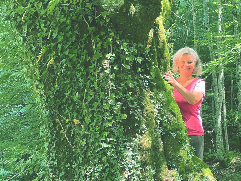 seance bains de forêt