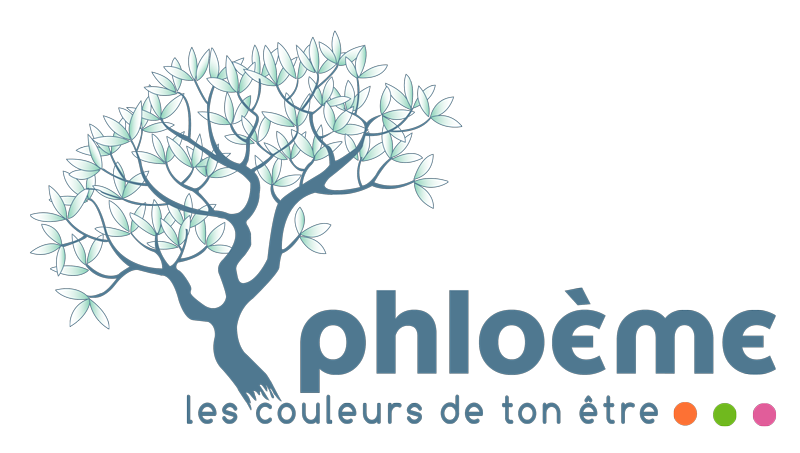 Sandrine Flament logo