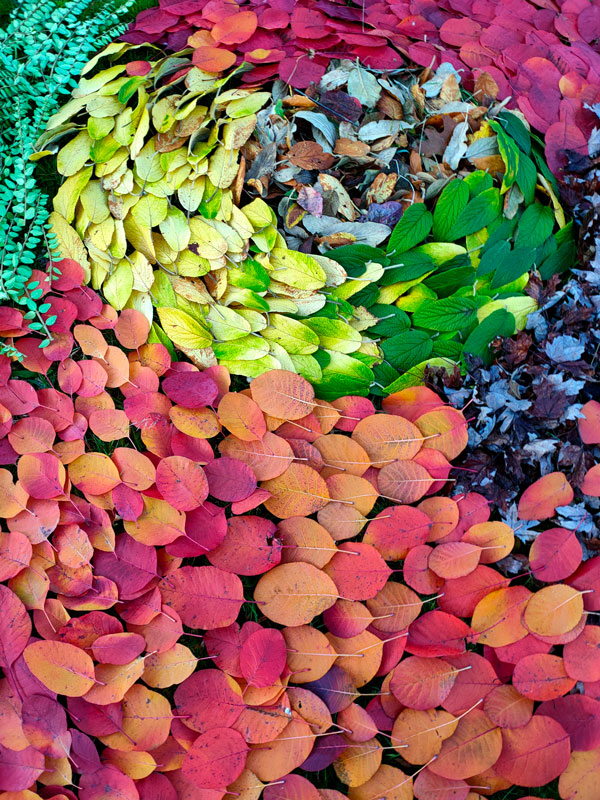creation land art