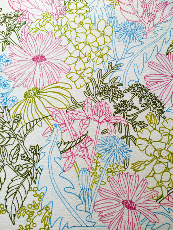 fleurs