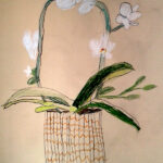 orchidee enfant