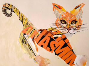 tigre