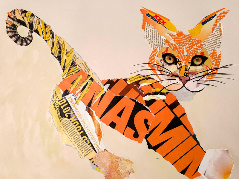 tigre
